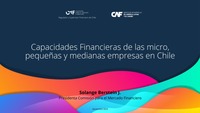 Presentación Capacidades Financieras de las micro, pequeñas y medianas empresas en Chile 2024